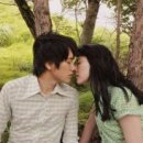 노르웨이의 숲 이미지