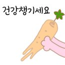 감사나무 이미지