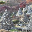 와우정사 이미지