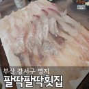 팔딱팔딱횟집 | 명지 오션시티 행복마을 숙성회 팔딱팔딱 횟집 재방문 모둠회 후기