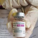 영국 법원서 부작용 인정후 수개월만 아스트라제네카 백신 판매중단(펌) 이미지