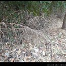 교룡산 둘레길 이미지