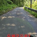 나눔약초 Daum카페