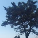 원전도선 선착장 이미지