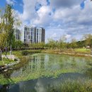 오름공원놀이터 이미지