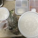 봉길이네순대국 이미지