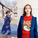 본다이재팬