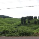 창선 가인리화석산지 이미지