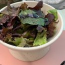 신난다다육 | 식물 일지 🌳 베란다 텃밭 상추 | 스티로폼 | 원숭이 꼬리 | 분갈이 | 허브 | 케일 | 데이지