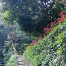 휴파크(국민여가캠핑장) 이미지