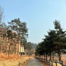 마포 데이트 코스 - 문화비축기지, 매봉산, 카페 탱크식스