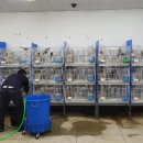 아도농장 이미지