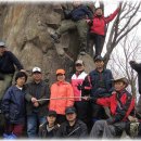 나뭇잎사랑산악회 山行記錄 [2008/2월~6월] 이미지