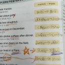 스파크잉글리시학원