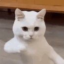 읻다의원 이미지