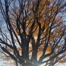 비래가양터널 주변 | 한강 1200리(32)/두물머리나루터→팔당대교→미사대교