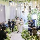 강남하우스 이미지