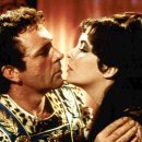 화이트워싱 이미지