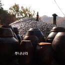 합천관광농원식당 티스토리