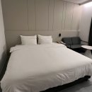 브라운 도트 이미지