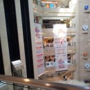 소백로1 이미지