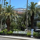 원흥로100번길(3-241) | 제주도 서귀포/애월/금능/협재/함덕 맛집 리스트 제주여행 제주 맛집 모음집🤤 전부 내돈내먹🎀