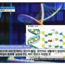 미국 최고 암병원 MD앤더슨 종신교수 김의신 강의 내용 이미지