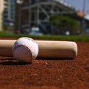 탄천종합운동장 탄천야구장 이미지