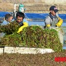 태만농장 이미지