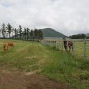 녹원목장 이미지