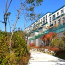 웰빙타운 이미지