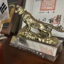 솔루션 행정사사무소 이미지