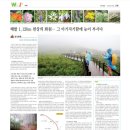 야생화마을펜션민박 이미지