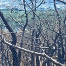 화마휩쓴 함지산행 이미지