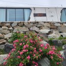 시스카이 카라빌 이미지