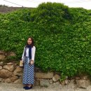 나진도 민박 이미지