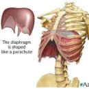 웰니스헬스 제이필라테스 요기요가 이미지