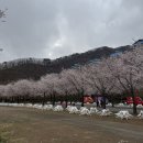 홍천관광호텔 | 강원도 홍천 소노캄 비발디파크 후기, 힐링 1박2일