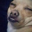 온유지스테이 이미지