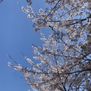 경화역공원 맞은편 횡단보도 이미지