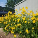 하늘내린황토민박 이미지