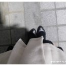커넥트디 이미지