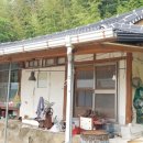 법곡길 Daum카페