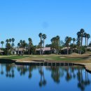 팜스프링 이미지