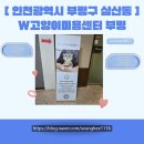 루이동물미용 | [ 009. &lt;인천/부평&gt;부평고양이미용&amp;25년도 루이 첫 미용]