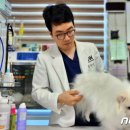 유명동물병원 이미지