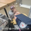 일산감자탕 | 경기일산대화맛집 일산대화밥집 경기일산맛집 추천[이바돔감자탕 대화점] 방문후기