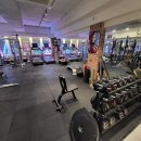 코카머슬로즈PT 이미지