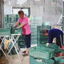 하나로마트 해남진도축협 이미지