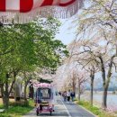 경포천로 이미지